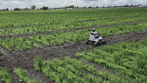 Robot operating in the Fargo, ND field